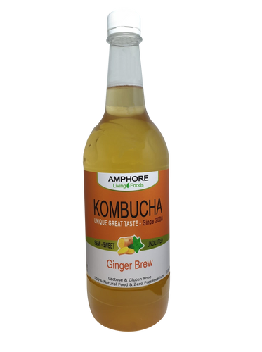 GENUINE KOMBUCHA - Single Bottles (Small, Large OR Packs)