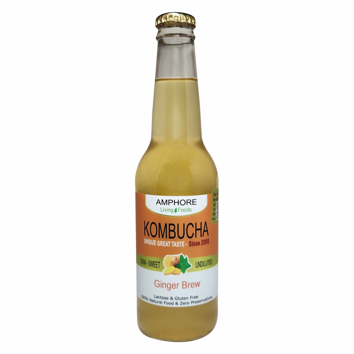 GENUINE KOMBUCHA - Single Bottles (Small, Large OR Packs)