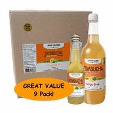 Load image into Gallery viewer, GENUINE KOMBUCHA - VALUE PACKS (Small OR Large)